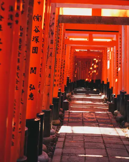 Túnel de torii rojos en el santuario Fushimi Inari, en Kioto