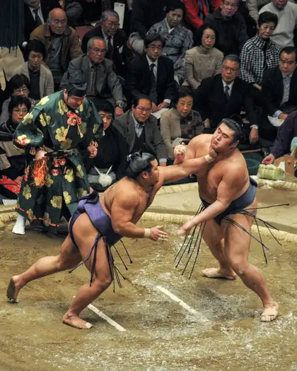 Dos luchadores de sumo en pleno combate, con el árbitro y el público