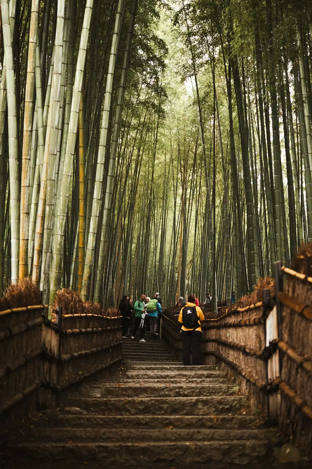 Escaleras entre el bosque de bambú de Arashiyama, en Kioto