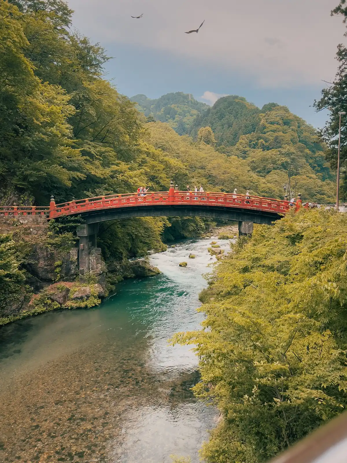 Puente rojo sobre un río entre bosques verdes, en Nikko