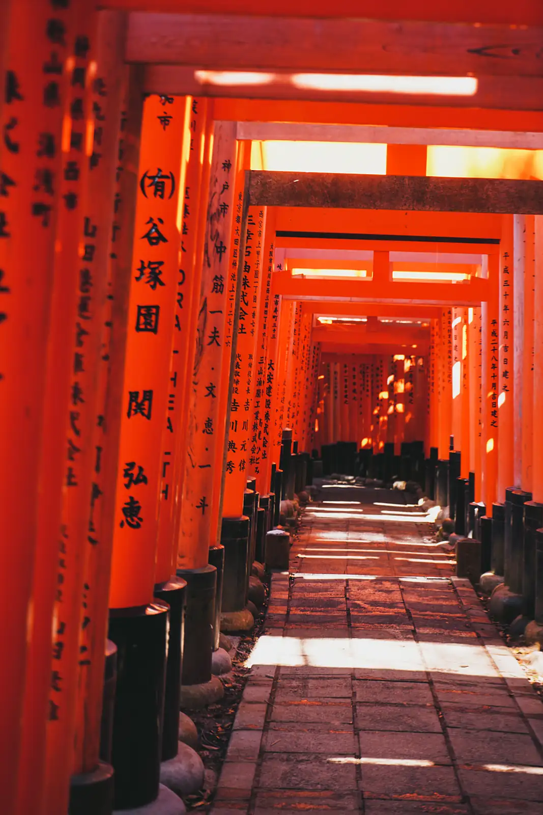 Senderos de torii rojos en el santuario Fushimi Inari, en Kioto