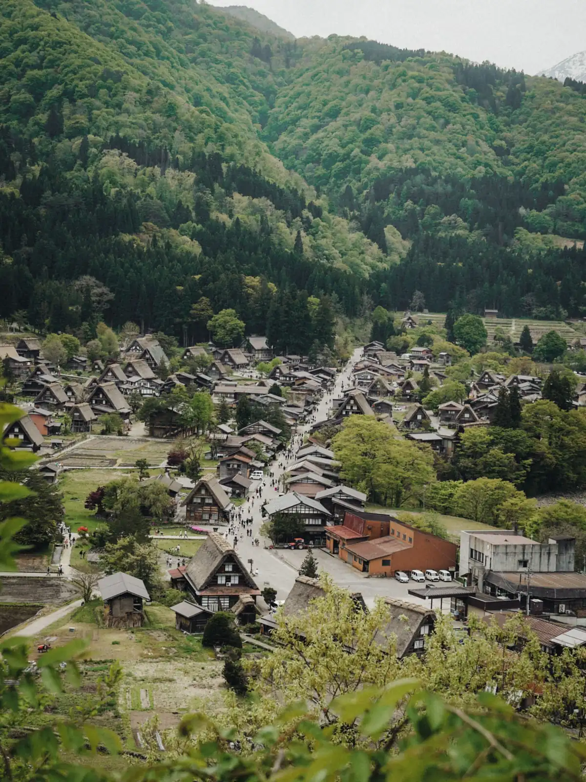 El pueblo de Shirakawa-go, con sus casas de tejado de paja, en un valle entre montañas verdes